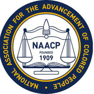 February 12 - The NAACP is Founded