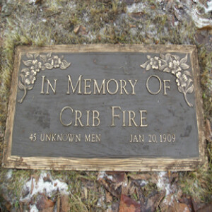 January 20 - The Chicago Crib Fire of 1909