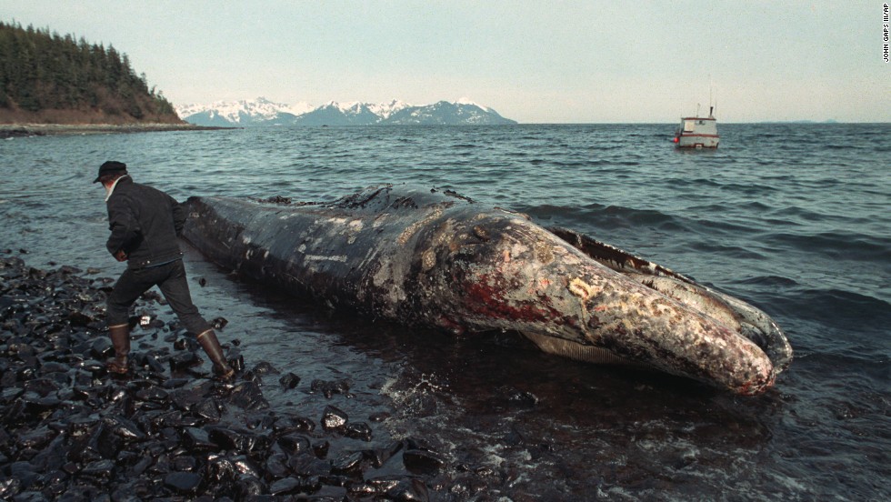 March 24 Exxon Valdez Runs Aground 