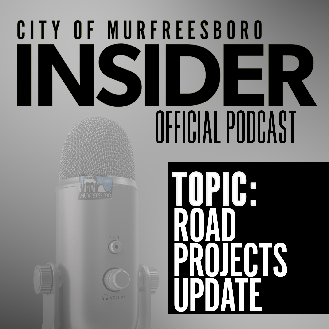 City of Murfreesboro, TN - Government