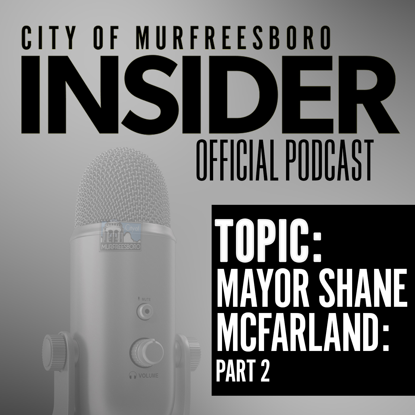 City of Murfreesboro, TN - Government