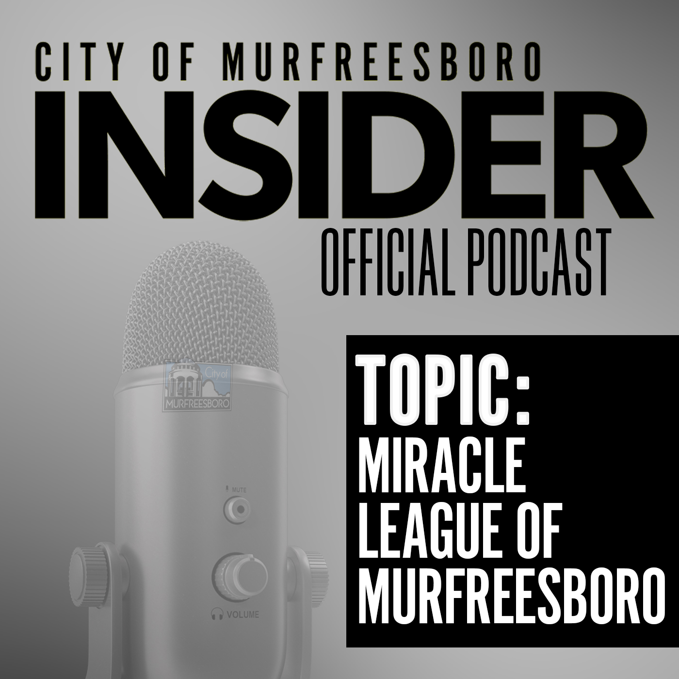 City of Murfreesboro, TN - Government