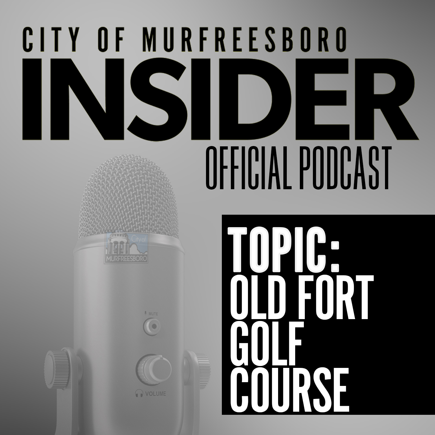 City of Murfreesboro, TN - Government