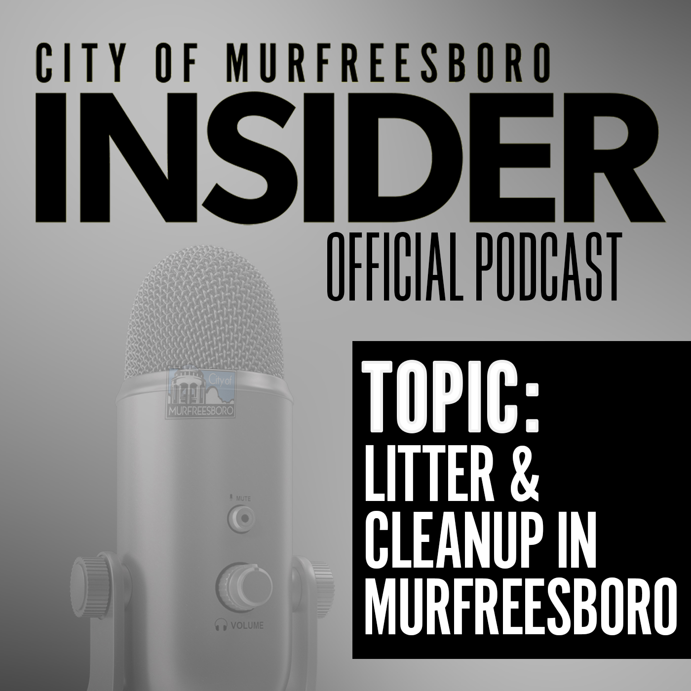 City of Murfreesboro, TN - Government