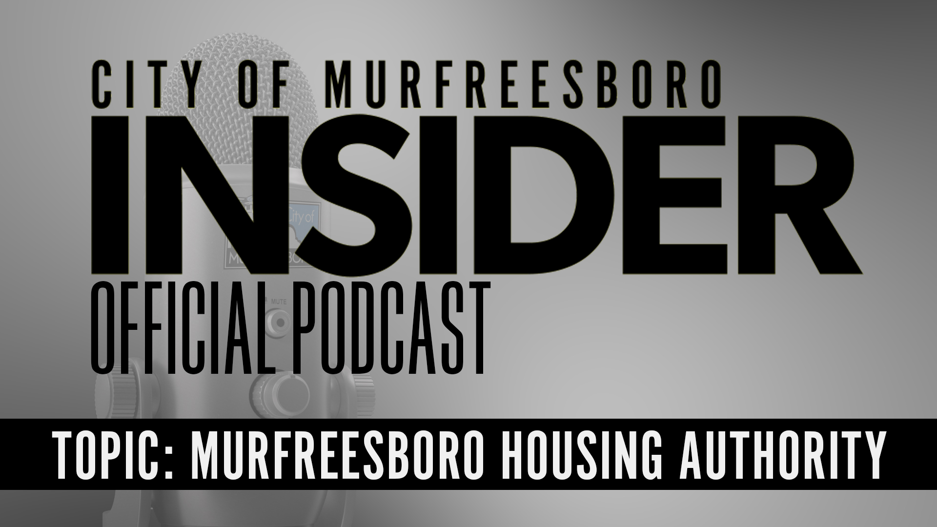 City of Murfreesboro, TN - Government