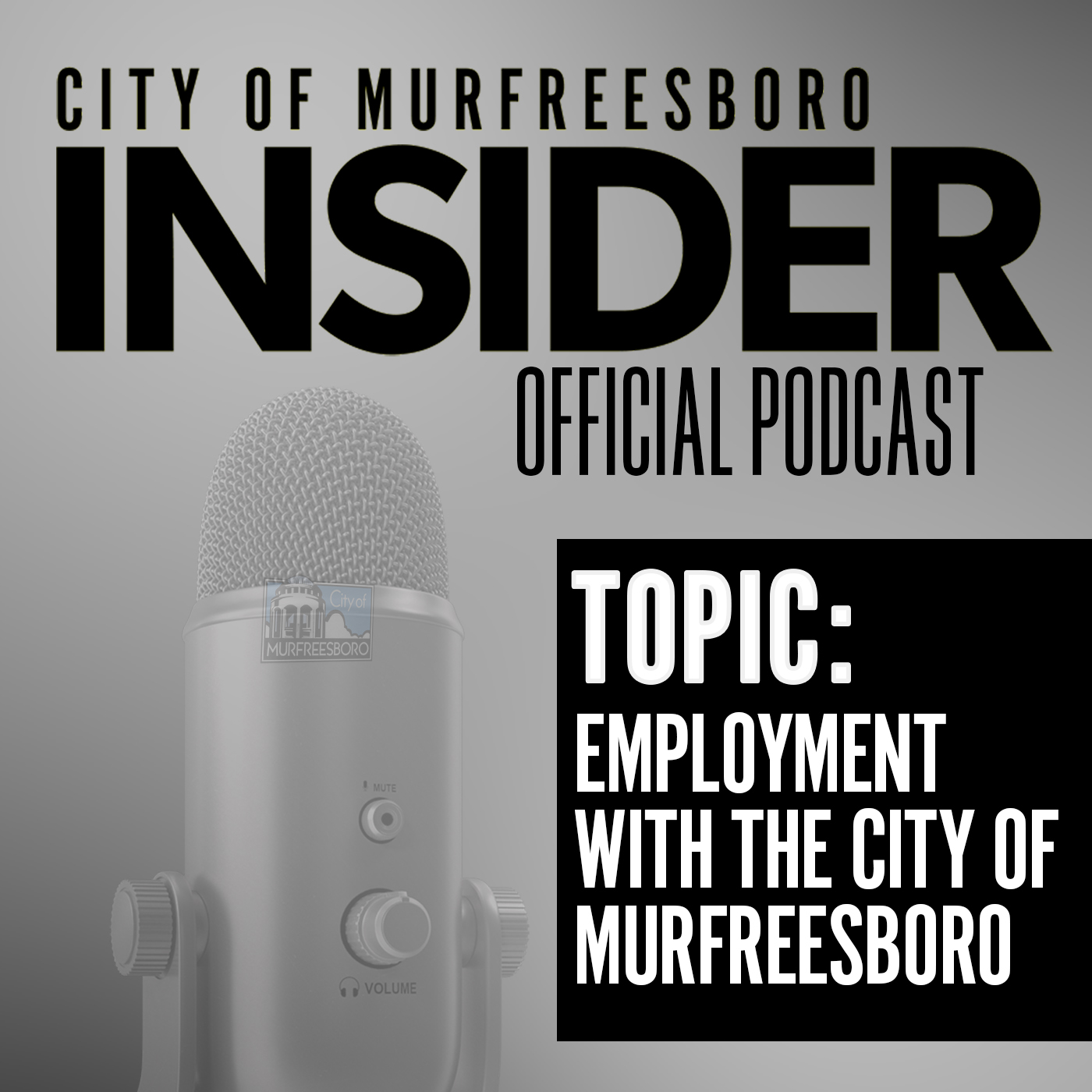 City of Murfreesboro, TN - Government