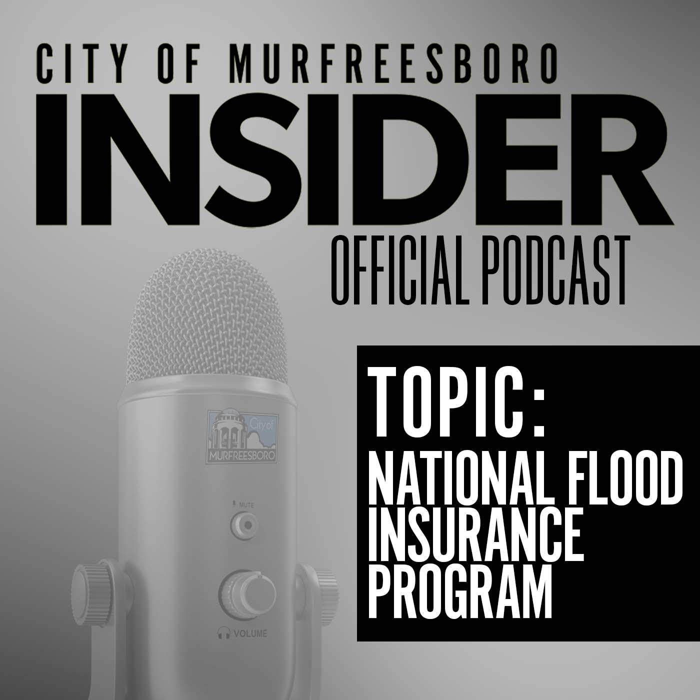 City of Murfreesboro, TN - Government