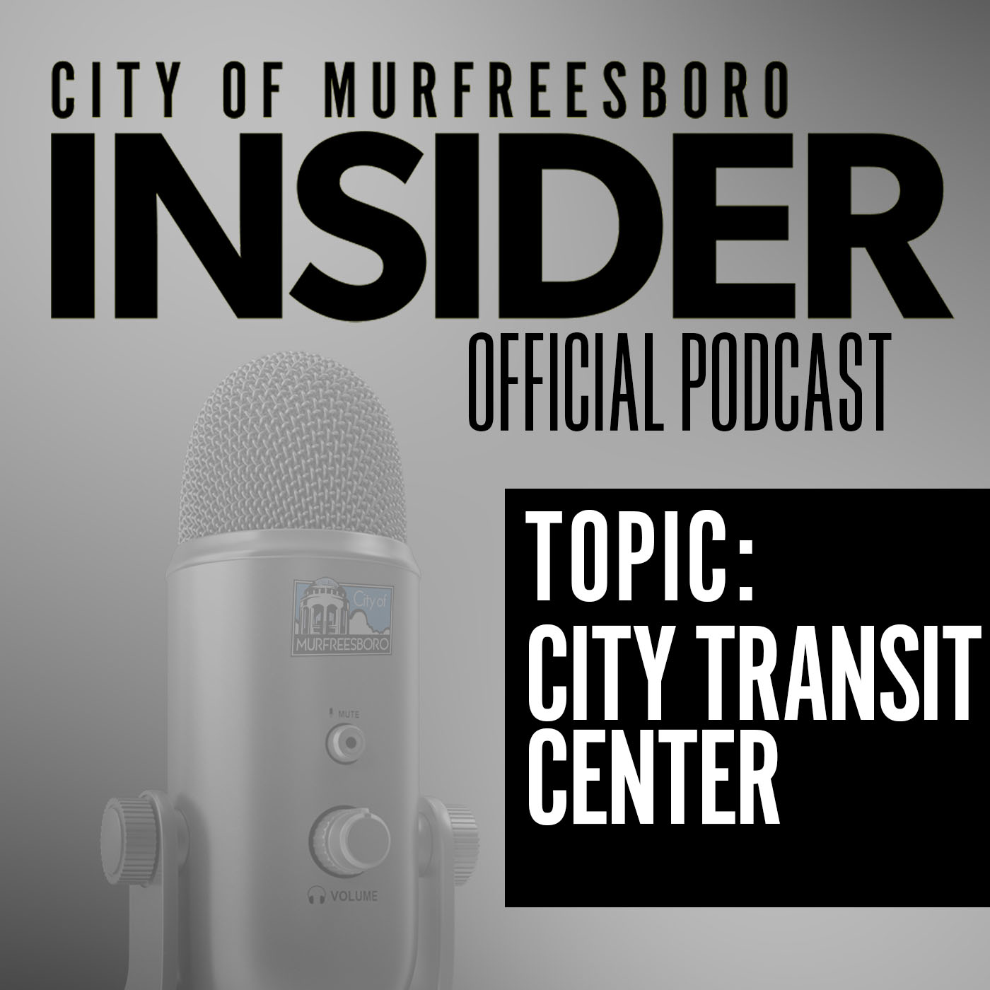 City of Murfreesboro, TN - Government
