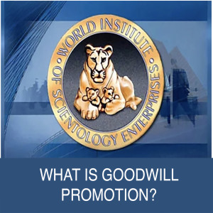 Episode 21, Volume 2: What is Goodwill Promotion?