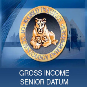 Episode 6, Volume 1: Gross Income Senior Datum