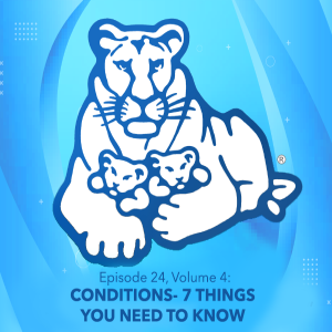 Episode 24, Volume 4: CONDITIONS-7 things you need to know - #4 in our series on CONDITIONS