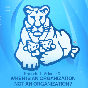 Episode 1, Volume 6: WHEN IS AN ORGANIZATION NOT AN ORGANIZATION?