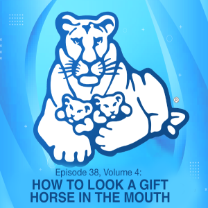 Episode 38, Volume 4: How To Look A Gift Horse In The Mouth - #29 in our series on CONDITIONS