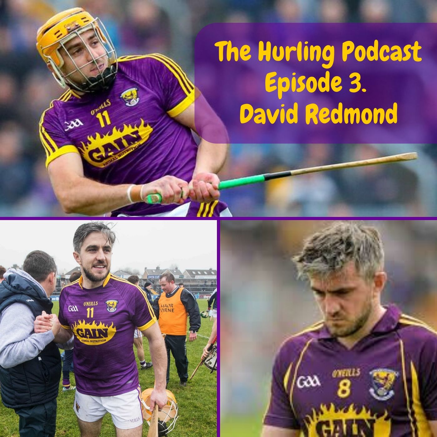 The Wexford Hurling Podcast