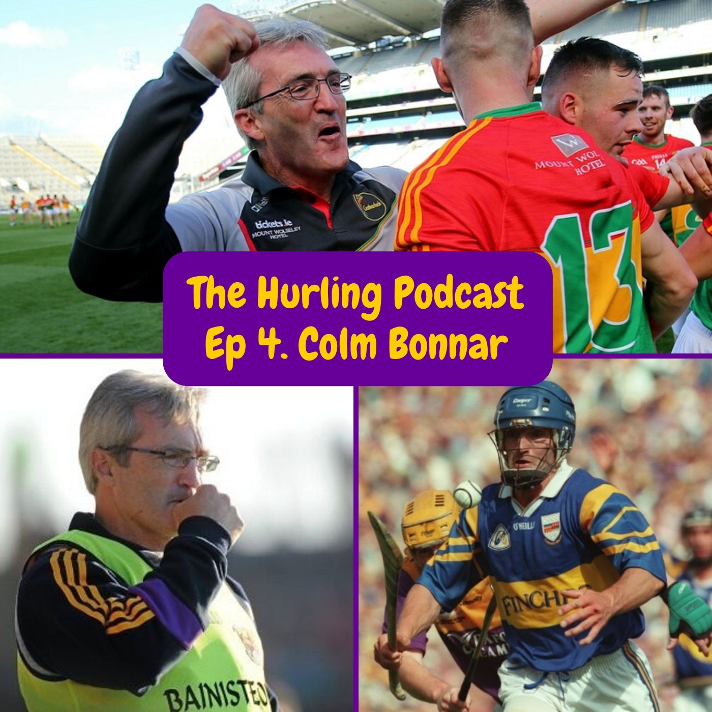 The Wexford Hurling Podcast