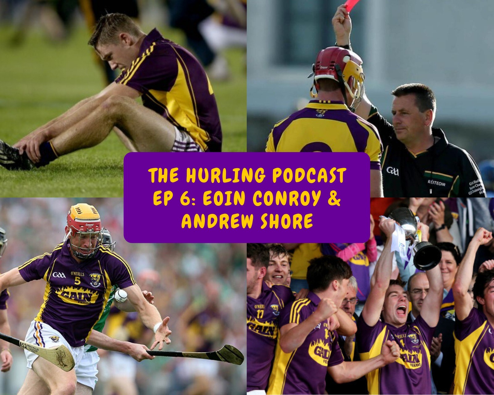 The Wexford Hurling Podcast