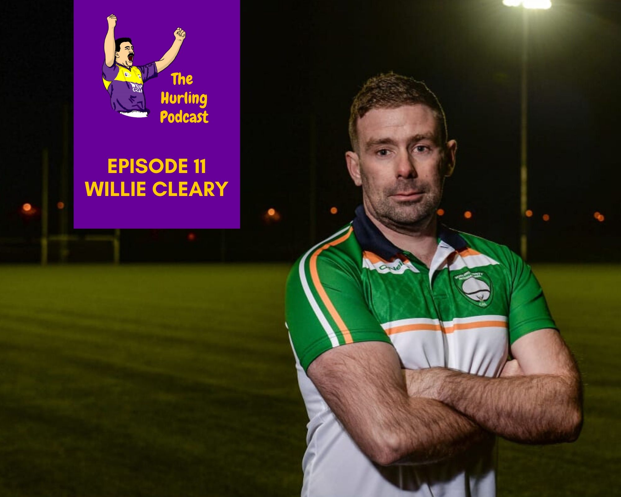 The Wexford Hurling Podcast
