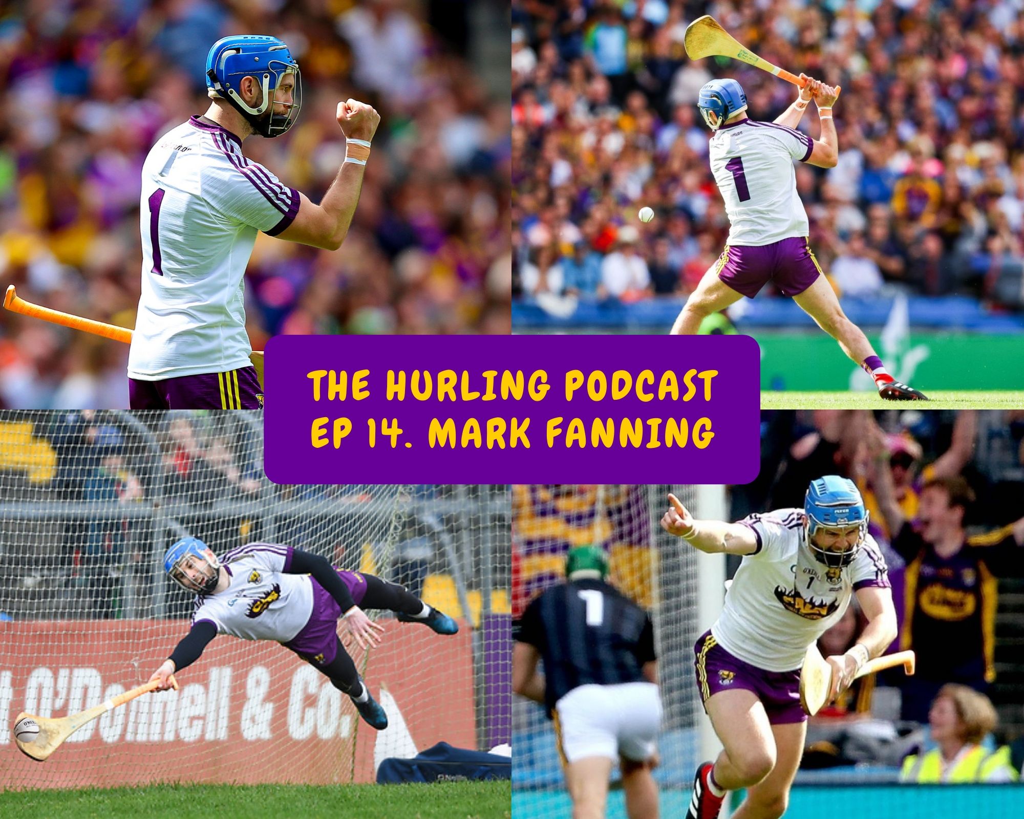The Wexford Hurling Podcast