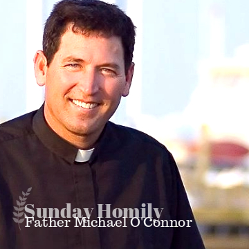 Sunday Homily - Why are You Looking for Jesus?