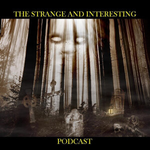 Strange and Interesting 1: The Amatuer Paranormal Investigator