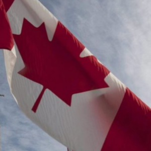 L'économie canadienne ne s'écrasera pas en 2025, selon l'OCDE