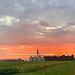 Farmingbanker harvest update