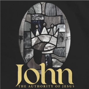John 5:30-38  - The Authority of Jesus