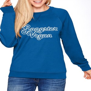 Raglan Crewneck Pullover Sweatshirt For Men & Women