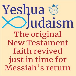What is NOT said proves Messiah is NOT God