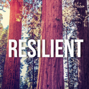 Resilient: Restortation for Your Weary Soul