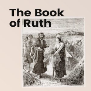 What's Your Next Chapter?- Book of Ruth - Week 5