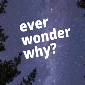 Ever Wonder Why? - How do you grow to trust in a God you can’t see? -Wk 4
