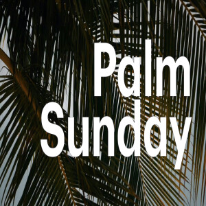 Palm Sunday - The Courageous King