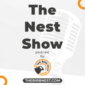 BITCOIN PUMP, CRAIG WRIGHT, AND ALGORITHMIC TRADING | The Nest Show Episode 1