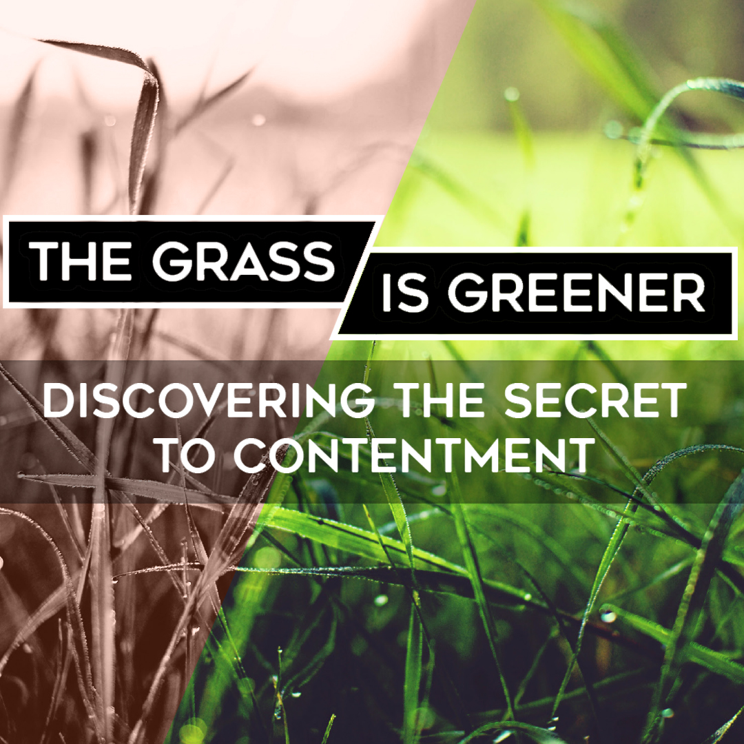 The Grass is Greener: Winning Through Losing
