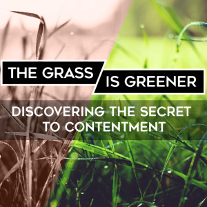 The Grass is Greener: More, More, More!