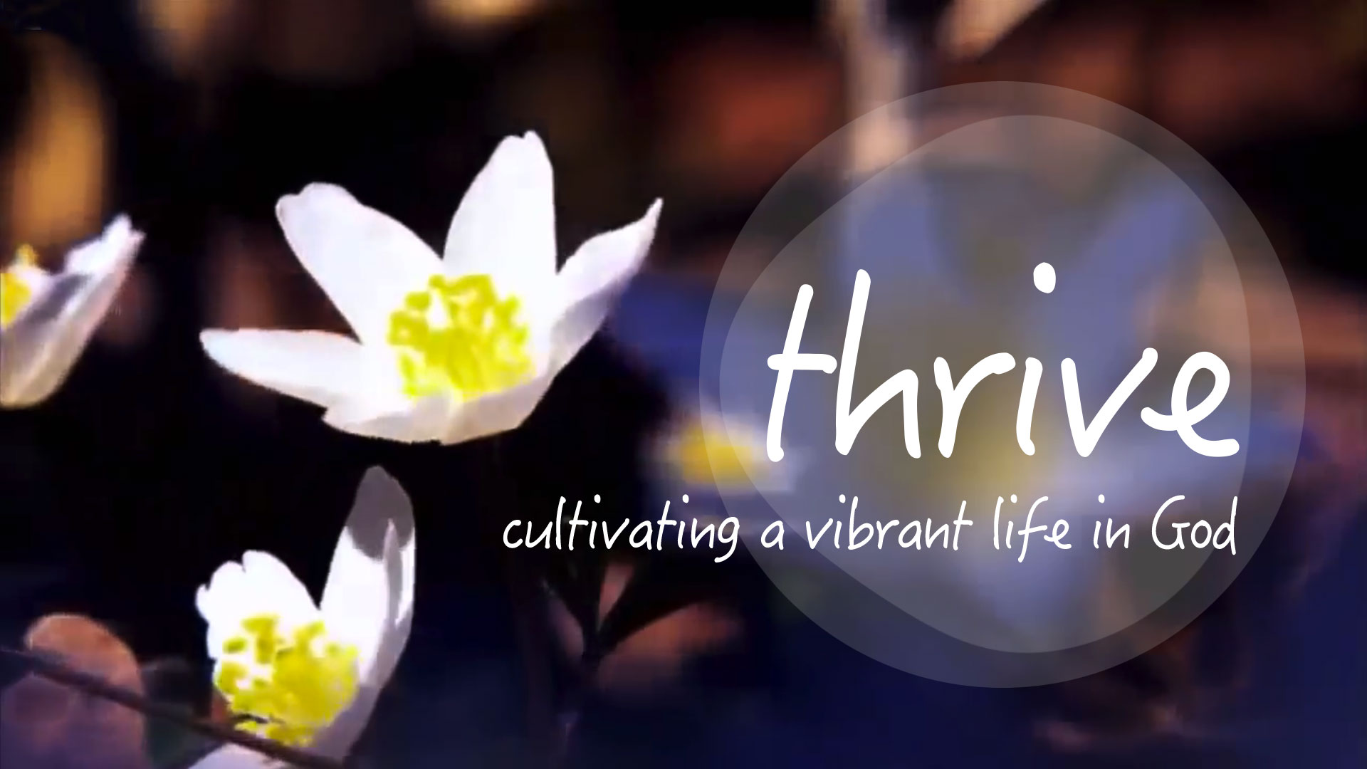 Thrive: Cultivating Your Heart