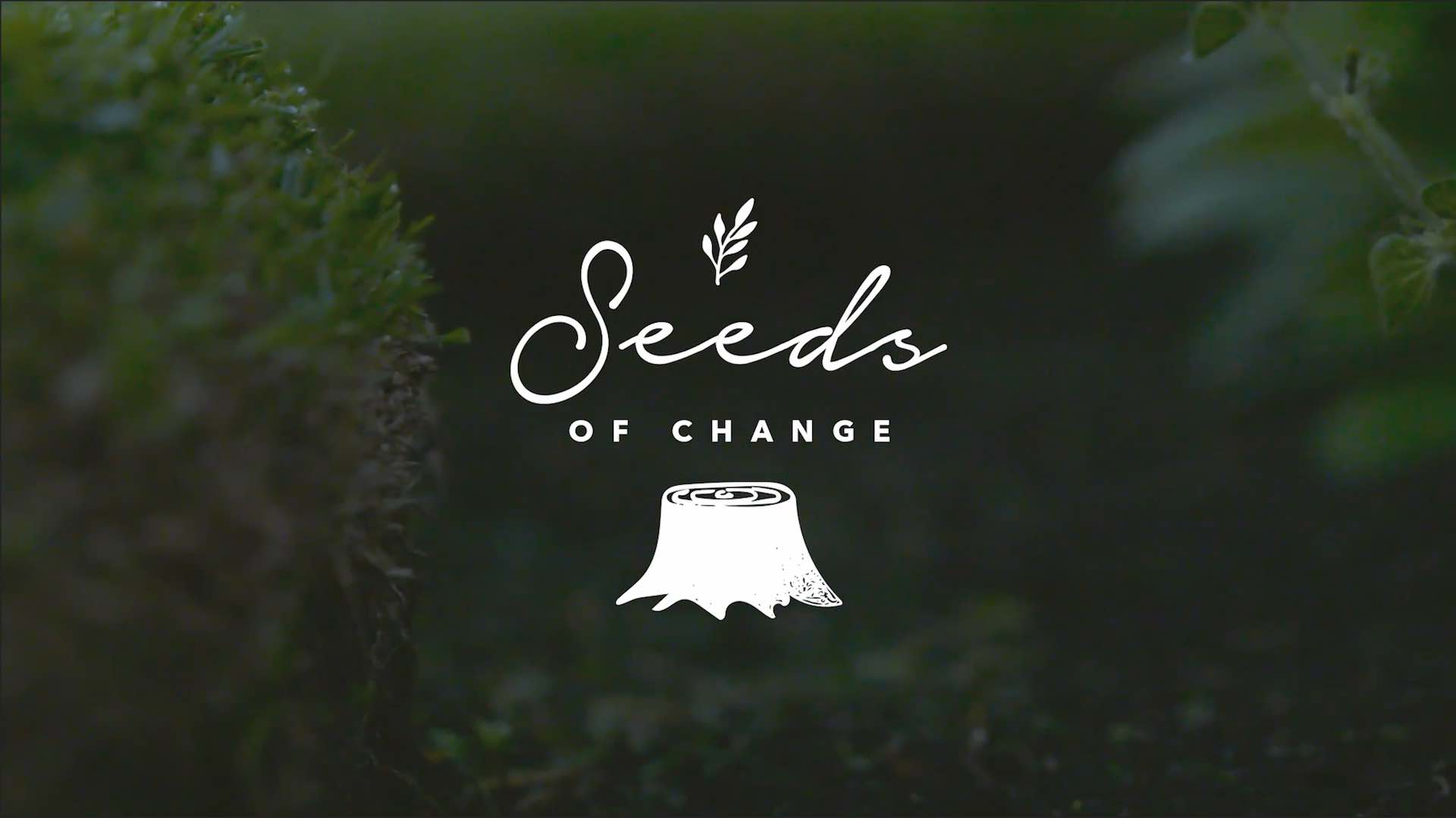Seeds of Change - Week 1