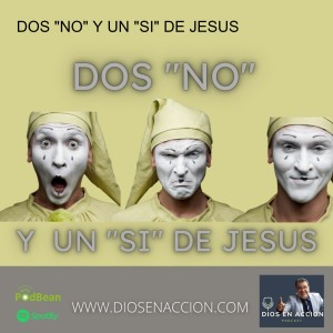 DOS ”NO” Y UN ”SI” DE JESUS