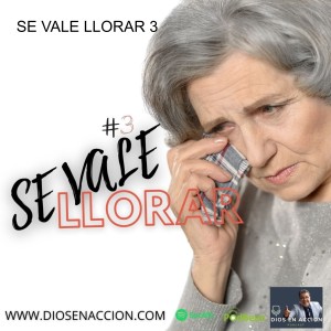 SE VALE LLORAR 3