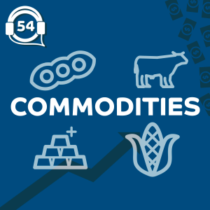 Commodities: tudo o que você precisa saber - YUBB4 #54