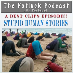 Best Clips:  Stupid Human Stories