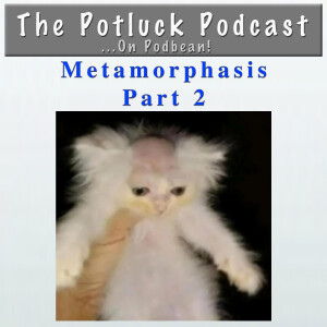147: ”Metamorphasis” (part 2)