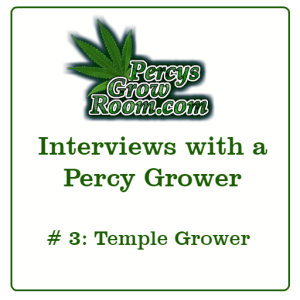 Interviews with a Percy Grower #3 Temple Grower