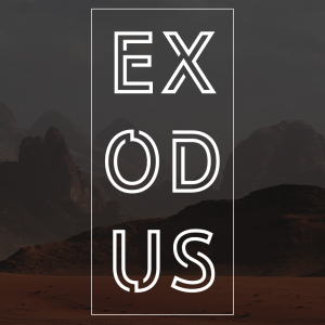 Exodus 3 | The Burning Bush
