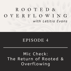 Mic Check...The Return of Rooted and Overflowing