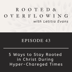 43 | 5 Ways to Stay Rooted During Hyper-Charged Times