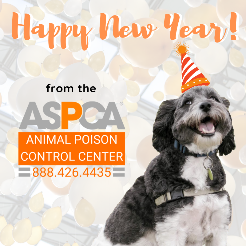 Aspca Animal Poison Control Center