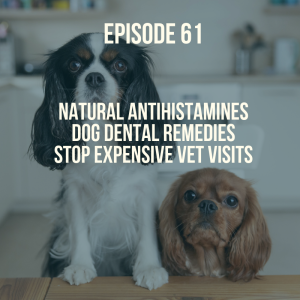 [Ep 61] 7 Best Dog Dental Remedies, Top 3 Natural Antihistamines, Stop expensive vet visits 