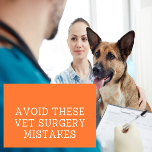 [Ep 72] Vet Surgery Mistakes to Avoid